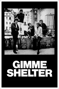 عهدگاه Shelter