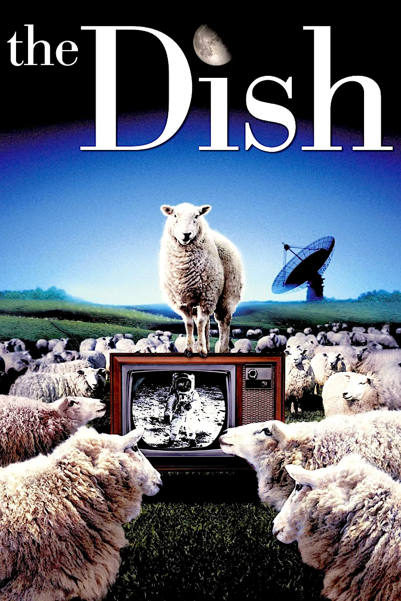 ظرف فیلم