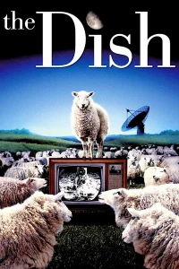 ظرف فیلم