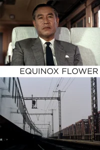 گل تقویم برابر