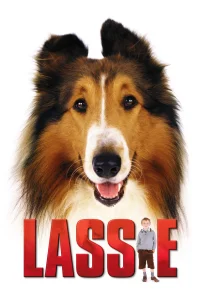 لاسسی