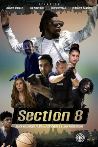 بخش 8