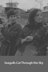 مرغان دریایی در آسمان می‌برند