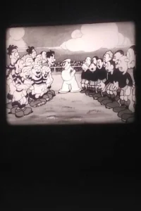 بین سوت و فلوت