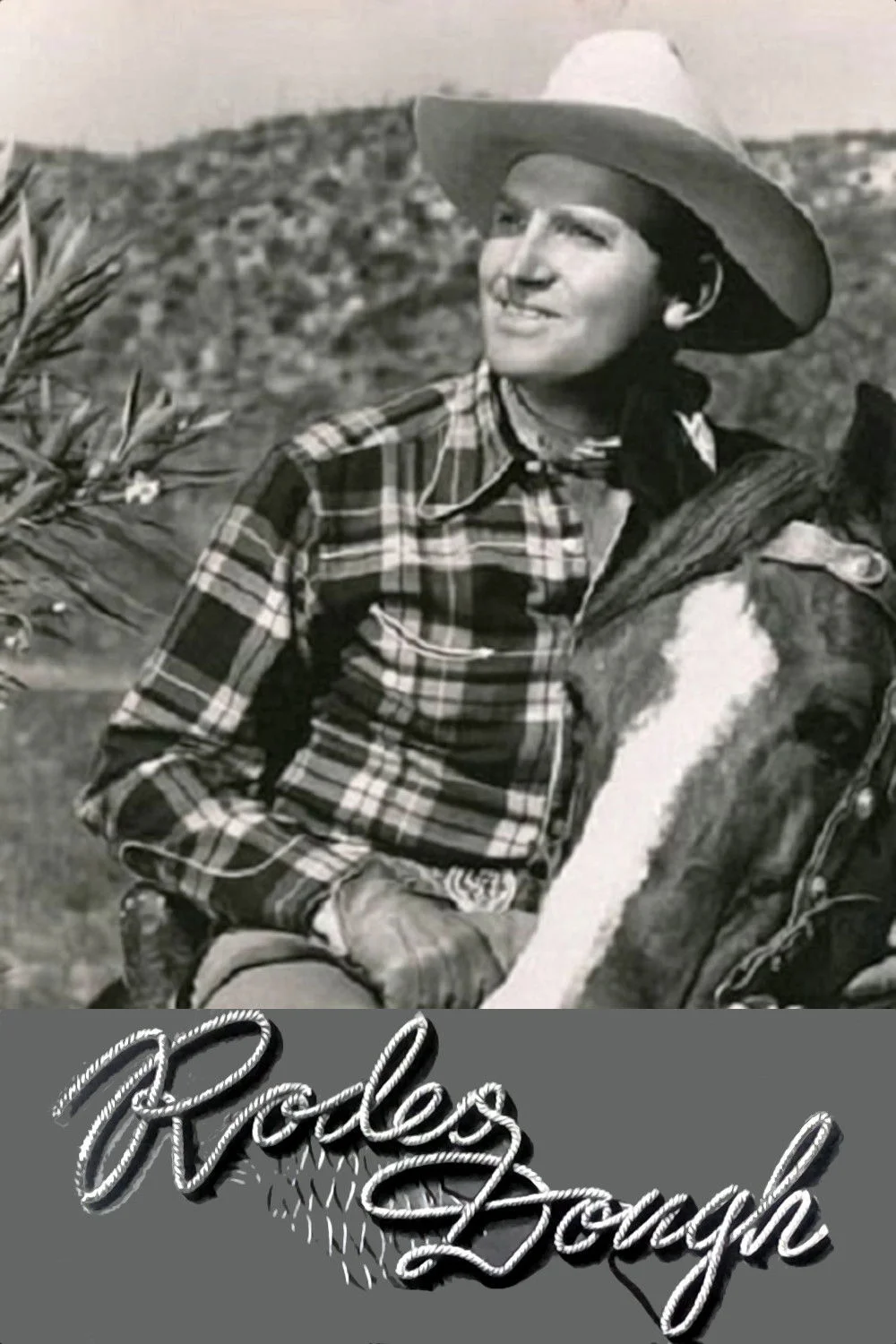 دوه Rodeo