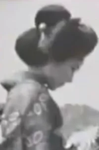 گل‌ها در طوفان شکوفا می‌شوند