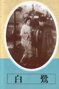 قو سفید