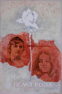 گل سفید