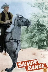 محدوده نقره ای