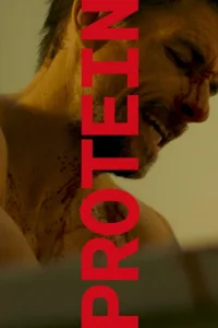 Protein