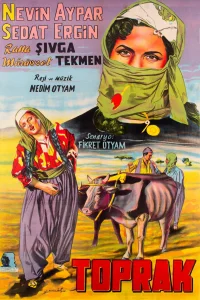 زمین