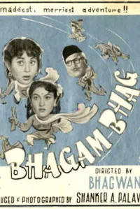 بهاگم بهاگ