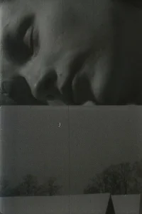 طلوع و چشم سفید