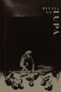 برکات زمین