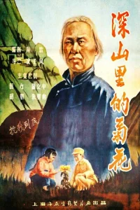 菊花 در عمق کوهستان