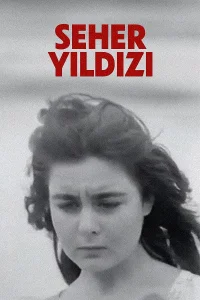 ستاره سحر