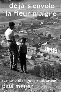 از شاخه‌ها گل پژمرده می‌ریزد