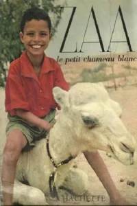زا، شتر کوچک سفید