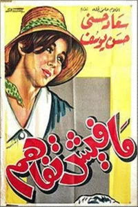 هیچ درکی