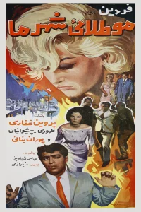 مطالعه شهر ما