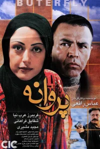 پروانه در باد