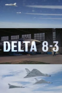 دلتا 8-3