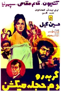 گربه را دم حجله می‌کشند