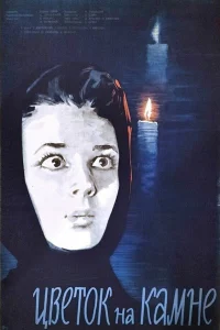 گل بر روی سنگ