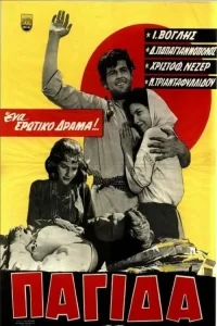 پاجیدا