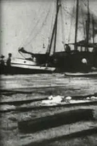 Bird's-Eye View of Dock Front, Galveston