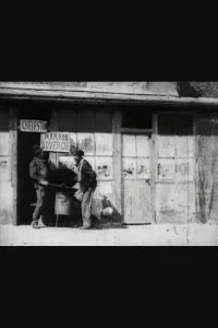 فروشنده م chestnut