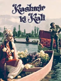 کشمیر کی کالی