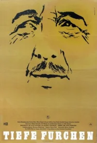 شیارهای عمیق