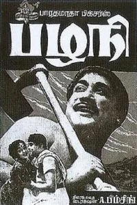 پازانی