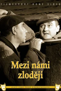دزدان در میان ما