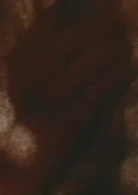 ترانه ۵