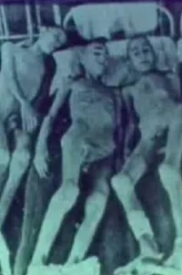 موارد نه