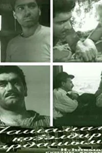 زندگی زیباست، برادر!