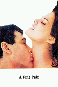 یک جفت خوب