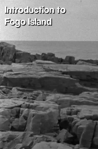 مقدمه‌ای بر جزیره فogo