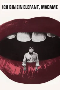 من یک فیل هستم، خانم