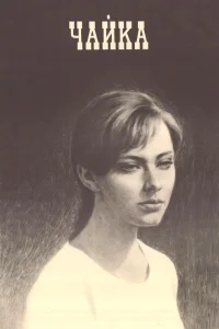 مرغ دریایی