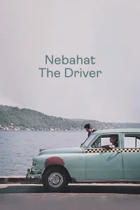 نباهت، راننده