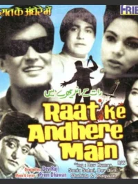 در تاریکی شب