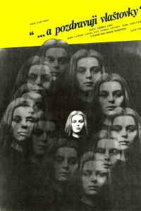 و عشق من را به پرستوها برسانید