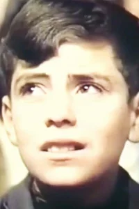 فرشتگان سفید