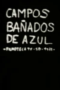 میدان‌های پوشیده در آبی