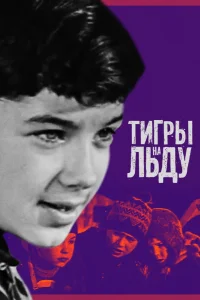 ببرها بر روی یخ