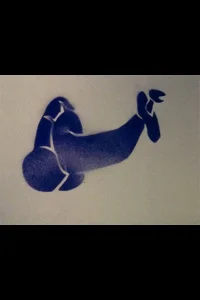 اشکال