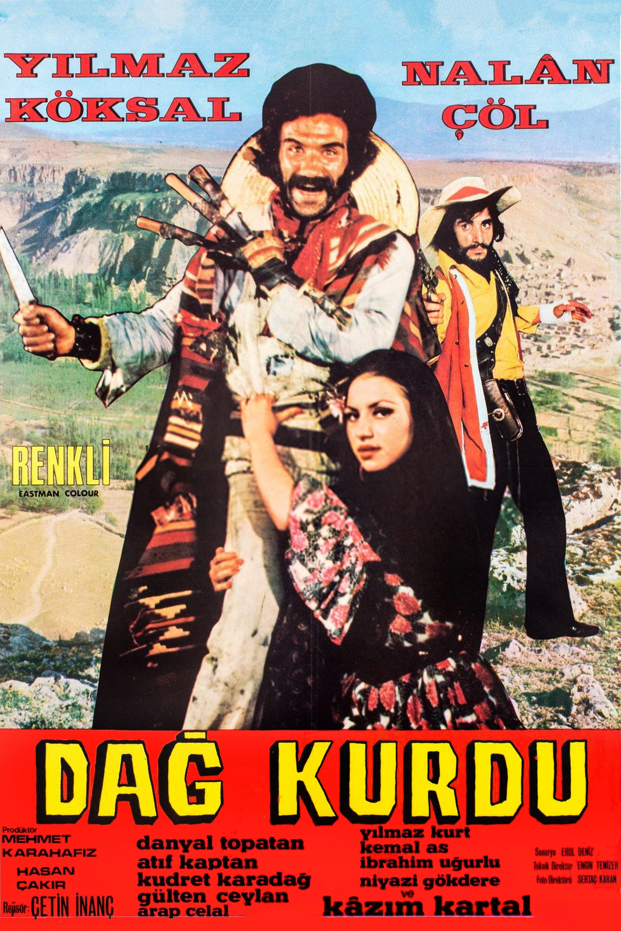 گرگ کوهستان